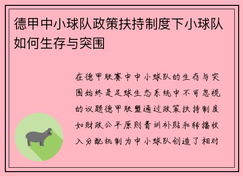 德甲中小球队政策扶持制度下小球队如何生存与突围