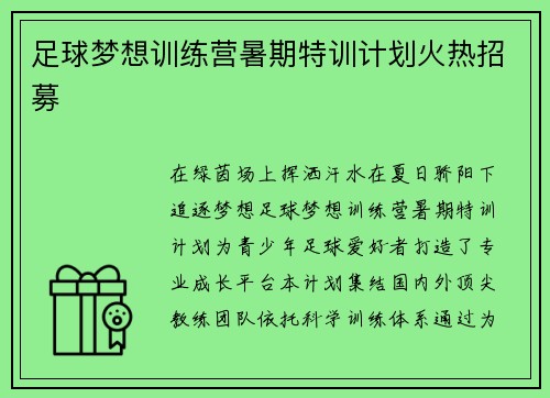 足球梦想训练营暑期特训计划火热招募