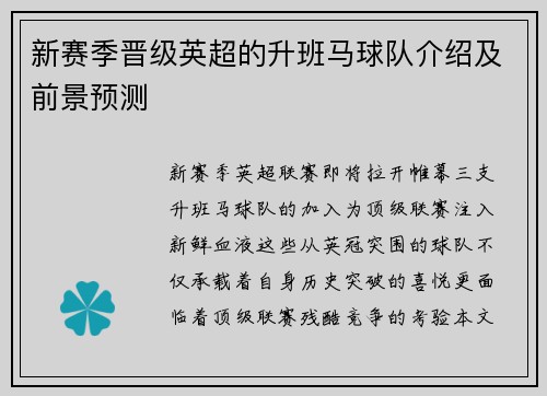 新赛季晋级英超的升班马球队介绍及前景预测