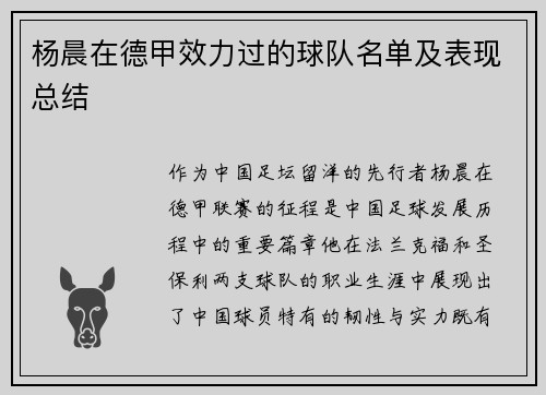 杨晨在德甲效力过的球队名单及表现总结